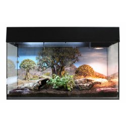 Starter Kit 80 cm Tortoise