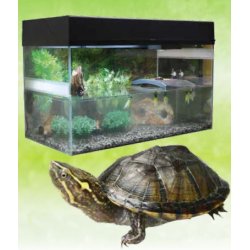 Starter Kit 80 cm Turtle 