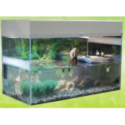 Starter Kit 80 cm Turtle 