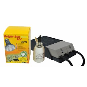 Bright Sun Set  Desert 