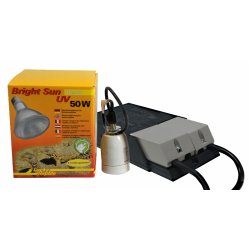 Bright Sun Set  Desert 