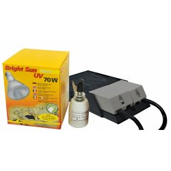 Bright Sun Set  Desert 