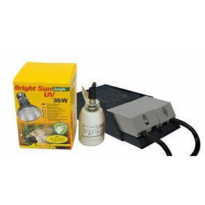 Bright Sun Set  Jungle 