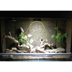 Bright Sun UV Desert 