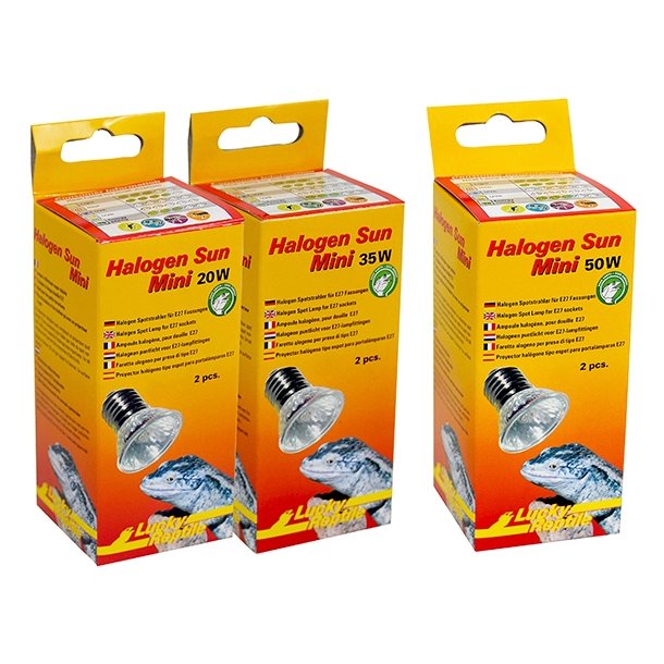 Halogen Sun Mini Double Pack