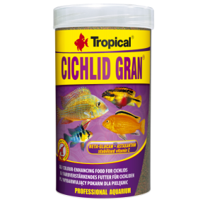 Tropical Cichlid Gran