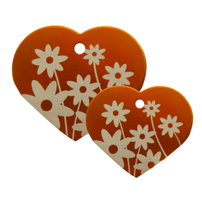 Hjerte Oransje Daisy Flower