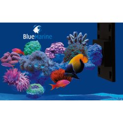 Blue Marine Floating Rock Kit Right