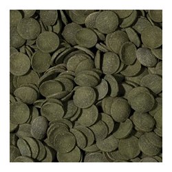 Tropical Green Algae Wafers