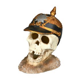 Hodeskalle med hjelm