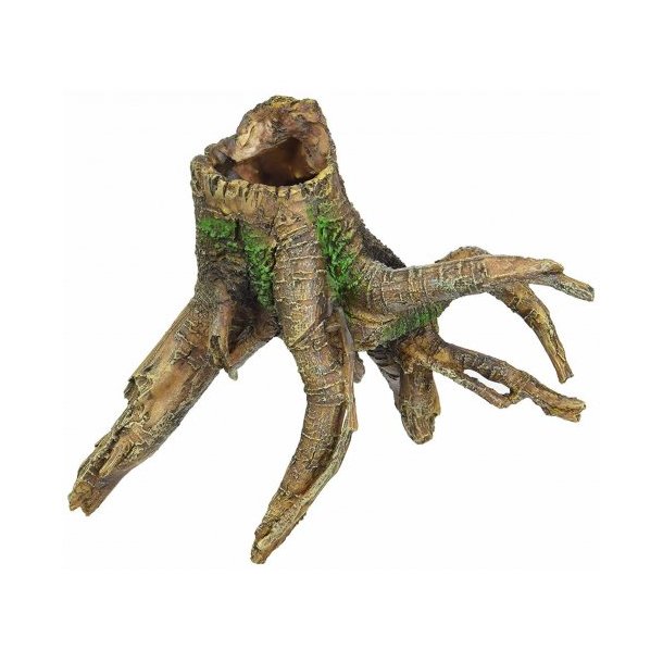 Tree Stump