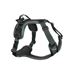Ramble harness