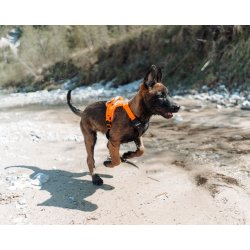 Ramble harness