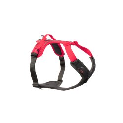 Ramble harness