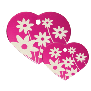 Hjerte Rosa Daisy Flower