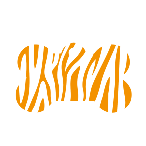 Bein Oransje Zebra Stripes