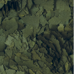 Tropical Super Spirulina Forte Flakes 250 ml