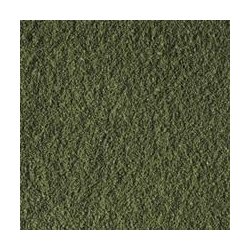 Tropical Super Spirulina Forte Micro 22g