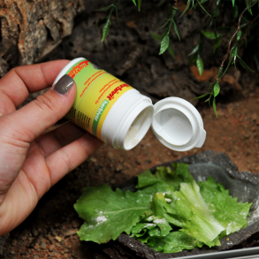 Vitaminer & Mineraler