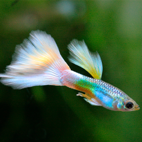 Slanger & Luftutstyr